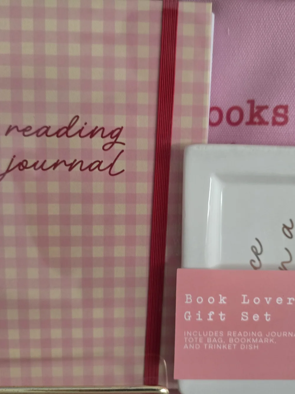 Reading Journal Gift Set in Mint Or Pink
